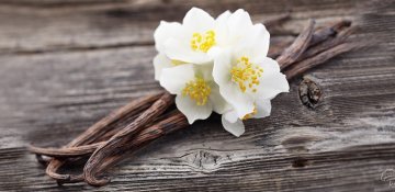 Vanil, yoxsa vanilin?