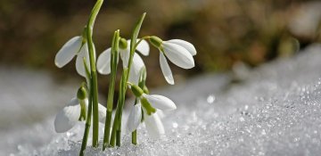 Ağıl kəsdiyindən