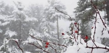 Qışın sonuncu ayı-Boz ay